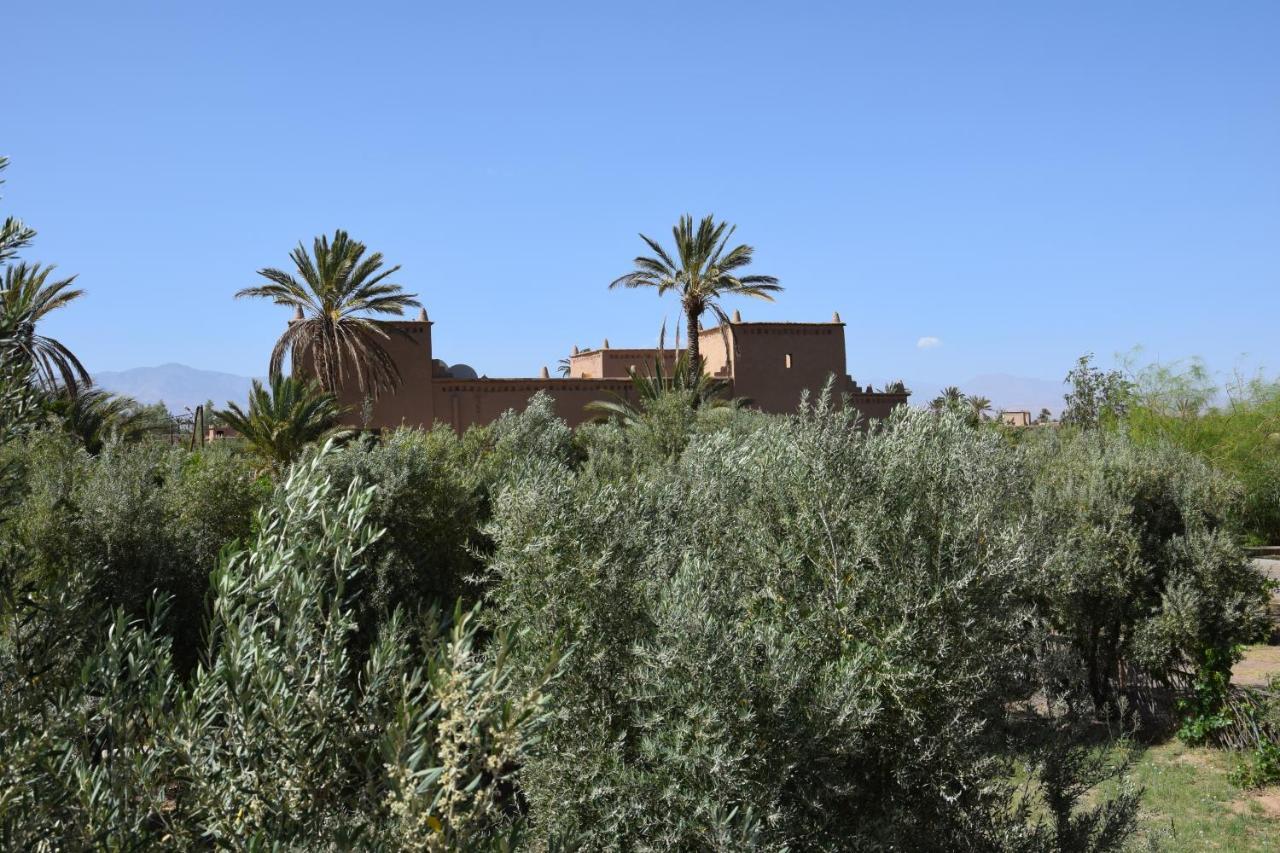 Отель Kasbah 123 Soleil Скура Экстерьер фото